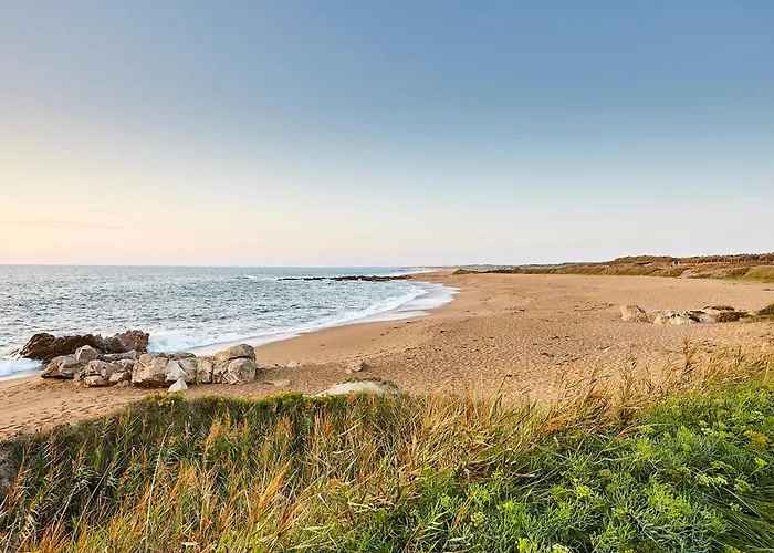 2 Pieces Face Avec Balcon, Parking Et Wifi - - Fr-1-92-941